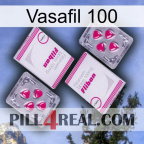 Vasafil 100 33